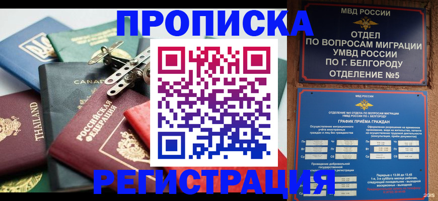 временная регистрация недорого в Райчихинске